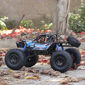 RC Electric Vehicle Monster