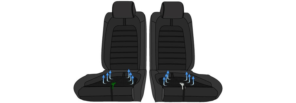 Pregnant Car Seat Belt