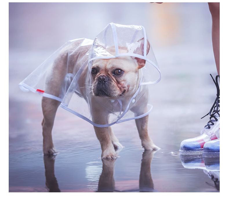 Pet Raincoat with hood