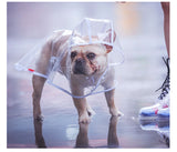 Pet Raincoat with hood