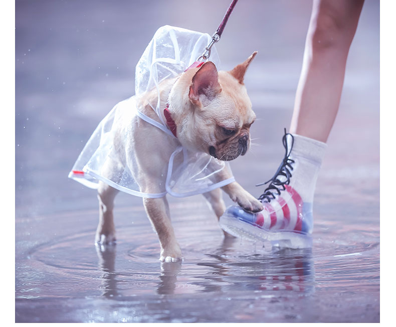 Pet Raincoat with hood