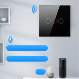 Tuya Touch Sensor Wall Switch Voice Work with Alexa