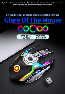 Wireless Ergonomic 7 Keys Mouse